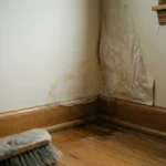 Hidden Water Leak